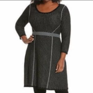 Lane Bryant Women’s 14/16 Knit Sweater Dress 3/4 Sleeve Fit & Flare Black Silver